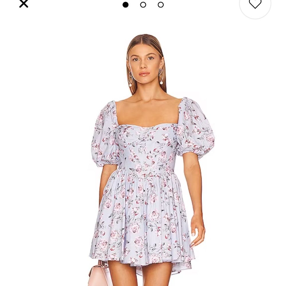 Kiah Corset Mini Dress in Rose Floral